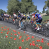 tdf 2023 screenshots 5